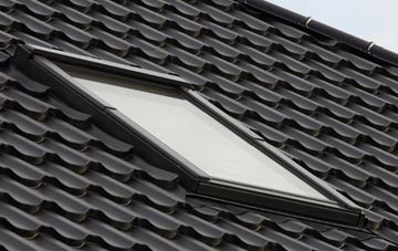 benefits of Swallow roof windows