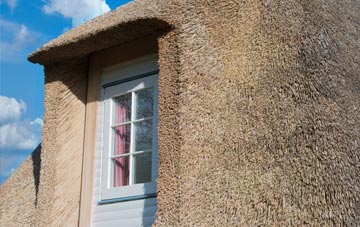 Swallow thatch roof disadvantages