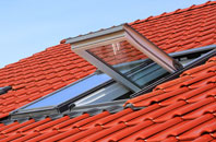 Swallow roof window
